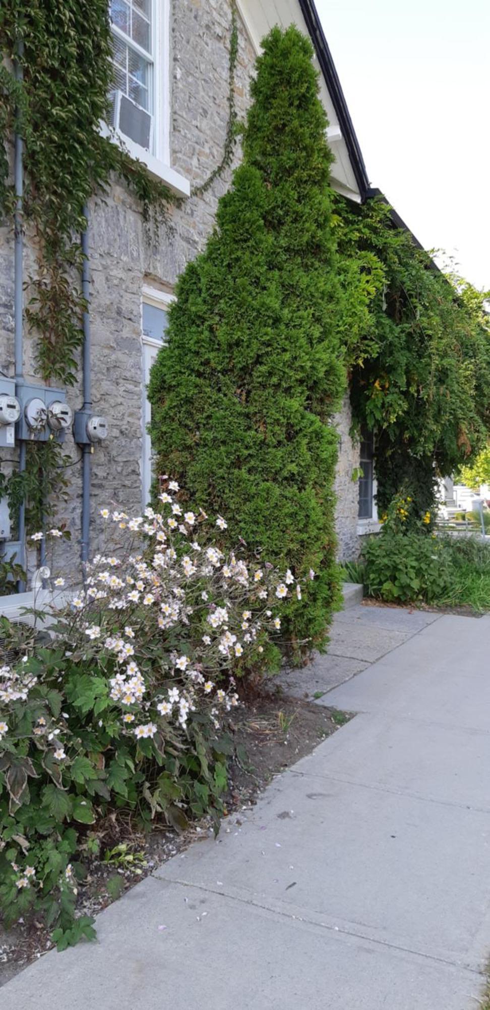 Vila Stone Carriage House Picton Exteriér fotografie