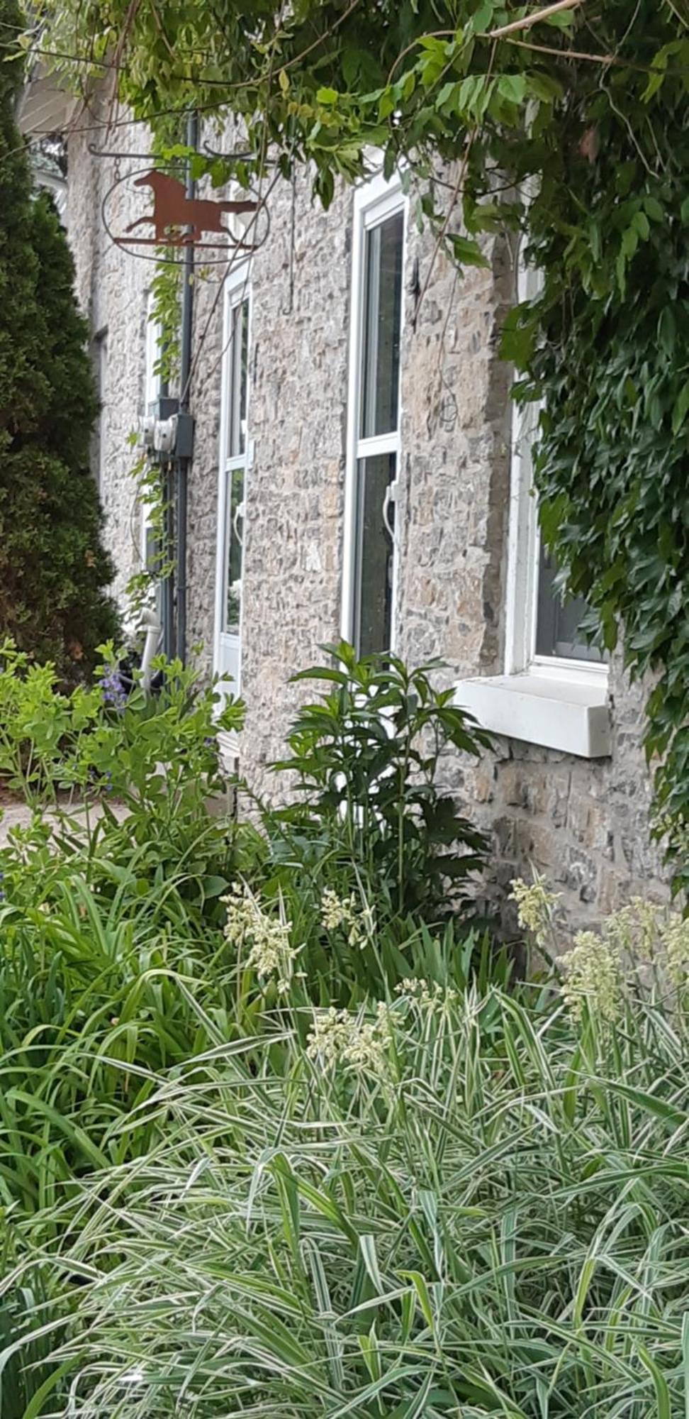 Vila Stone Carriage House Picton Exteriér fotografie